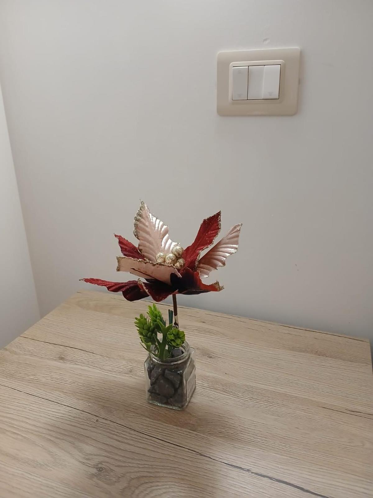 Casa Vacanze Il Confetto スルモナ エクステリア 写真